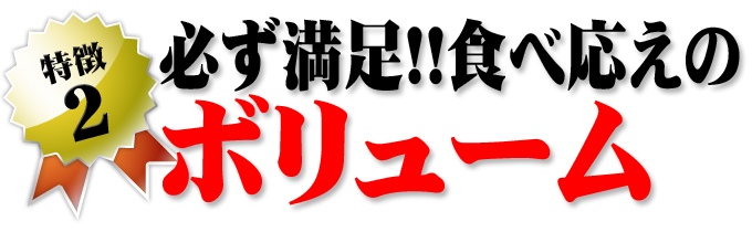 必ず満足！食べ応えのボリューム