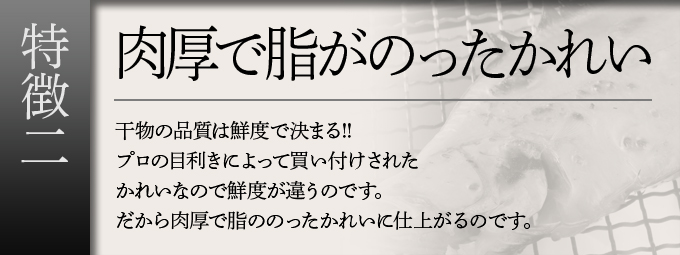 プロの目利きによって買い付けられたカレイなので鮮度が違います。だから肉厚で脂ののったかれいに仕上がるのです。