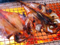 はたはたみりん干し